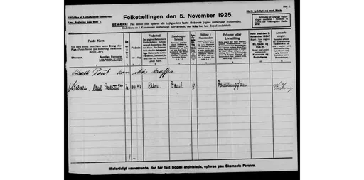 Folketælling 1925