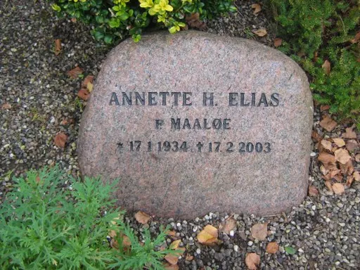 Annette Hillerup Maaløe